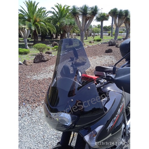 Honda XL 650 V Transalp 2000 2006 RALLY Windscreen Windshield