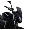   Parbriz sport pentru motociclete de curse  
  KAWASAKI Z 750   
   2003 / 2004 / 2005 / 2006     