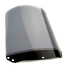    Roller Ersatz Standard Scheibe / Windschild    
   HONDA PANTHEON 125   
   2002 / 2003 / 2004 / 2005 / 2006 / 2007     