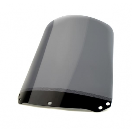    Roller Ersatz Standard Scheibe / Windschild    
   HONDA PANTHEON 125   
   2002 / 2003 / 2004 / 2005 / 2006 / 2007    