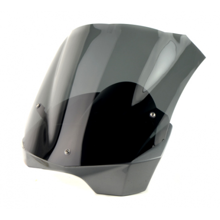   Motorrad touring Windschild / Scheibe  
  BWM F 800 R   
  2009 / 2010 / 2011 / 2012 / 2013 / 2014  