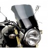   Parbriz înalt pentru motociclete de turism  
  HONDA CB 600 F HORNET   
   2005 / 2006     