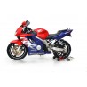   Touring alto moto parabrezza / cupolino  
  HONDA CBR 600 F4   
   1999 / 2000     