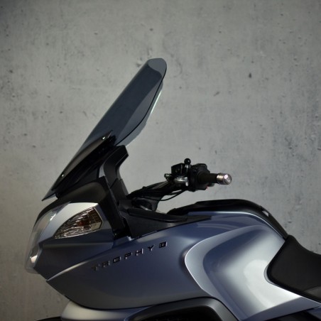  Parbriz înalt pentru motociclete de turism  
  TRIUMPH TROPHY 1200   
   2013 / 2014 / 2015 / 2016 / 2017 / 2018     