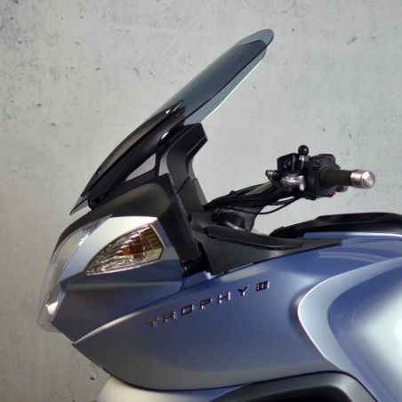   Pare-brise / saute-vent standard moto  
  TRIUMPH TROPHY 1200   
   2013 / 2014 / 2015 / 2016 / 2017 / 2018     