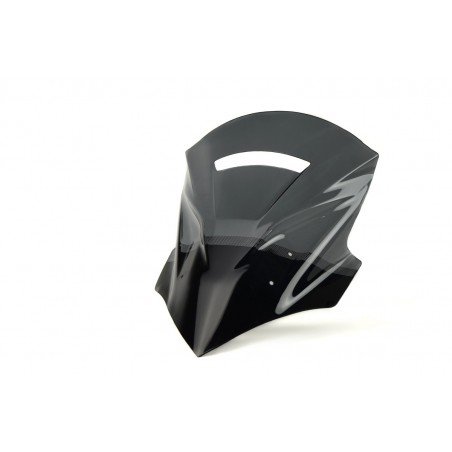   Touring alto moto parabrezza / cupolino  
  KAWASAKI KLE 500   
   2005 / 2006 / 2007    