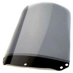 Honda FORESIGHT 125 | 2000-2001 - Standard Scheibe / Windschild