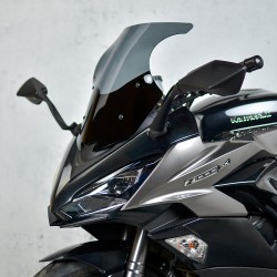 Kawasaki Z 1000 SX 2017-2019 - Standard Cúpula / Parabrisas