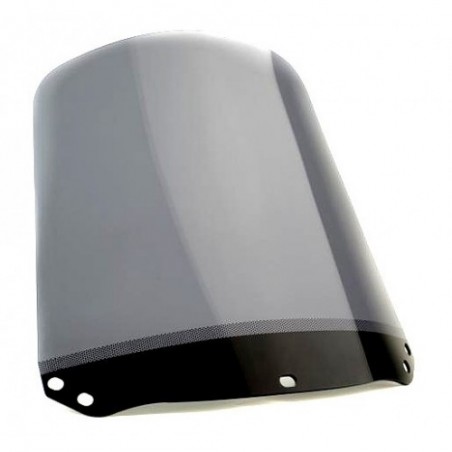    Roller Ersatz Standard Scheibe / Windschild    
   HONDA PANTHEON 150    
   2002 / 2003 / 2004 / 2005 / 2006 / 2007    