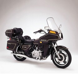 Honda GL 1100 GOLD WING 1981-1983 Standard Parabrezza / Cupolino