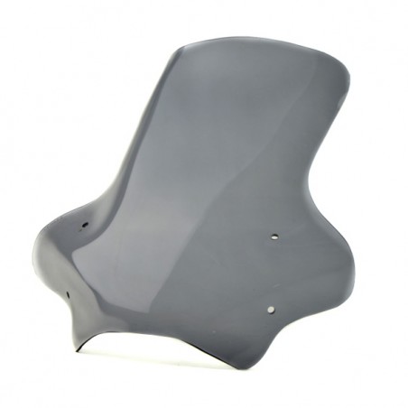   Motorrad touring Windschild / Scheibe  
  YAMAHA MT-01   
  2003 / 2004 / 2005 / 2006 / 2007 /  
    2008 / 2009 / 2010 / 2011    