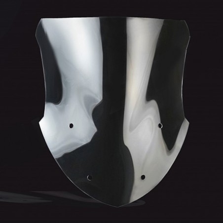   Pare-brise / saute-vent de remplacement de moto  
  BWM R 1250 RT  
  2021 / 2022 / 2023 / 2024 / 2025  