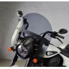   Motorcycle windshield / windscreen  
  INDIAN SPRINGFIELD DARK HORSE 1800   
  2018 / 2019 / 2020 / 2021 / 2022 / 2023 / 2024 / 2025   