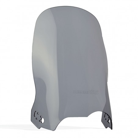   Pare-brise de moto pour un BWM R 1150 GS   
  1999 / 2000 / 2001 / 2002 / 2003 / 2004  