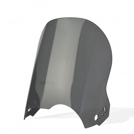 Standard Parabrezza / Cupolino bmw r 1150 gs 1999 2000 2001 2002 2003 2004