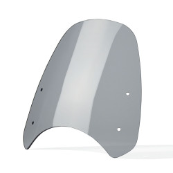 Yamaha XSR 125 | 2021-2024 Standard Scheibe / Windschild