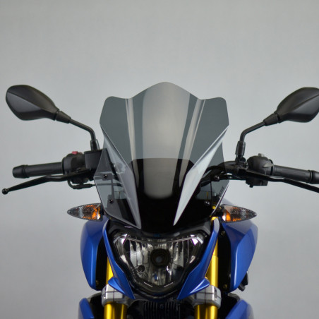BMW G 310 R 2016-2024 - Touring Windshield / Windscreen