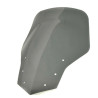   Pare-brise / saute-vent de remplacement de moto  
  BWM K 1200 GT 2006 / 2007 / 2008   