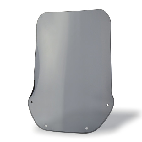   Parbriz înalt pentru motociclete de turism  
  Yamaha TDR 125 Belgarda  
  1992 / 1993 / 1994 / 1995 / 1996  
   1997 / 1998 / 1999 / 2000 / 2001 / 2002    