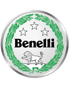 Motorcycle windshields for Benelli