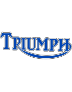 Motorrad Windschilder für Triumph