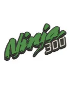 NINJA 300