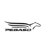 PEGASO 650