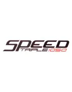 SPEED TRIPLE 1050