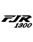 FJR 1300