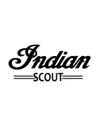 SCOUT SIXTY 1000