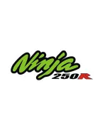 NINJA 250 R